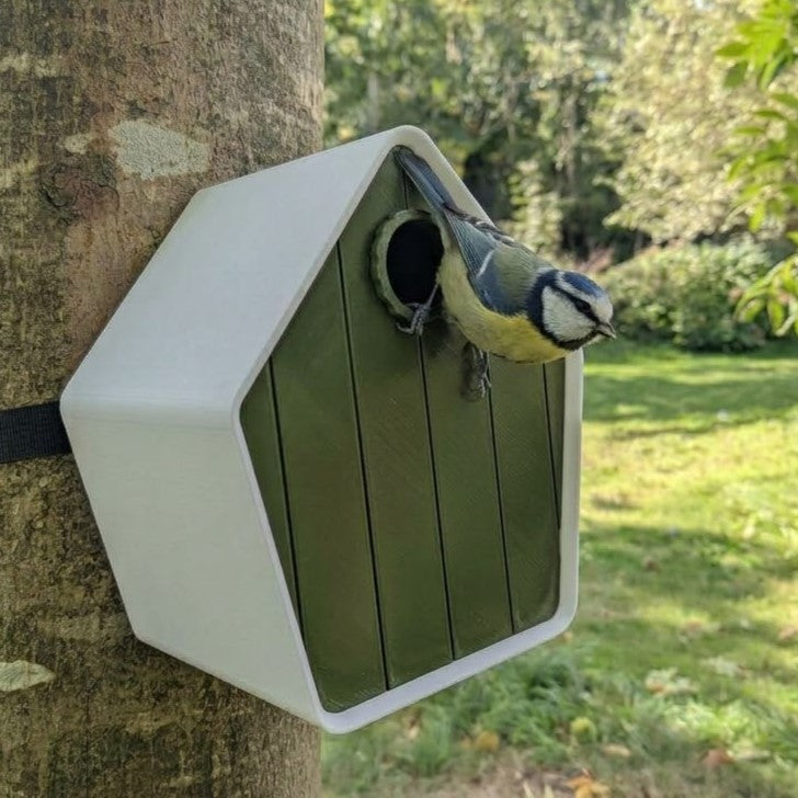 Nichoir en plastique : Pourquoi c'est la meilleure alternative au bois pour les oiseaux ? La Buse Qui File