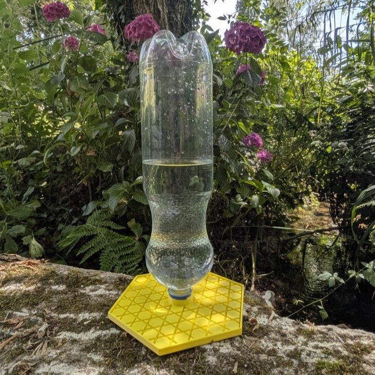 Abreuvoir à abeilles pour bouteille d'eau et soda modèle "L'Alvéo" La Buse Qui File