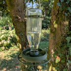 Abreuvoir à oiseaux pour bouteille en verre de jus 1L T048 modèle "L'Atoll" La Buse Qui File