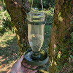 Abreuvoir à oiseaux pour bouteille en verre de jus 1L T048 modèle "L'Atoll" La Buse Qui File