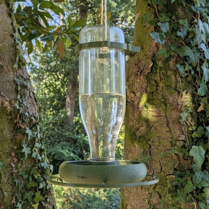 Abreuvoir à oiseaux pour bouteille en verre de jus 1L T048 modèle "L'Atoll" La Buse Qui File