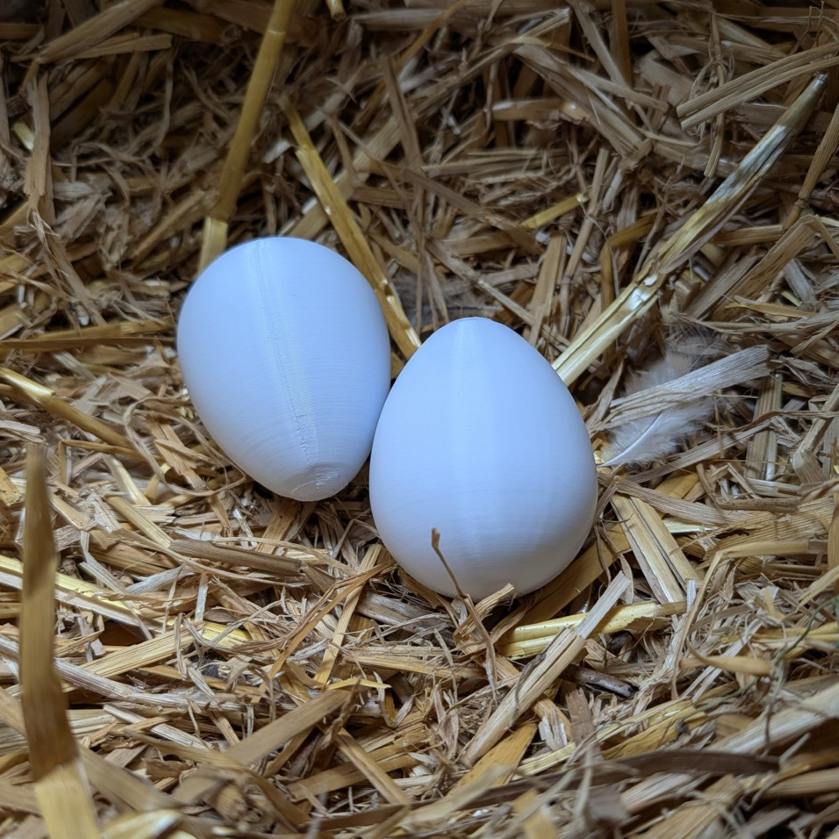 Faux œuf artificiel factice de poule pondeuse - pour aider à la ponte de vos poules La Buse Qui File