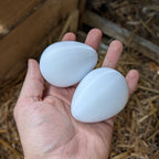 Faux œuf artificiel factice de poule pondeuse - pour aider à la ponte de vos poules La Buse Qui File