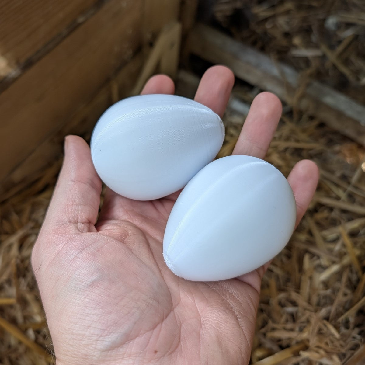 Faux œuf artificiel factice de poule pondeuse - pour aider à la ponte de vos poules La Buse Qui File