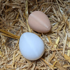 Faux œuf artificiel factice de poule pondeuse - pour aider à la ponte de vos poules La Buse Qui File