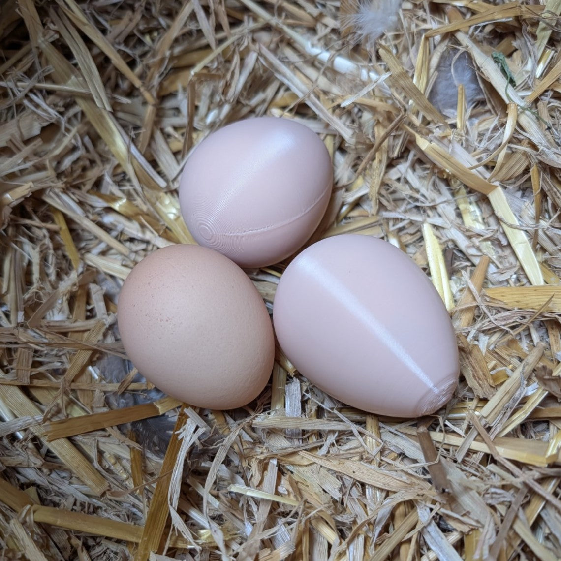 Faux œuf artificiel factice de poule pondeuse - pour aider à la ponte de vos poules