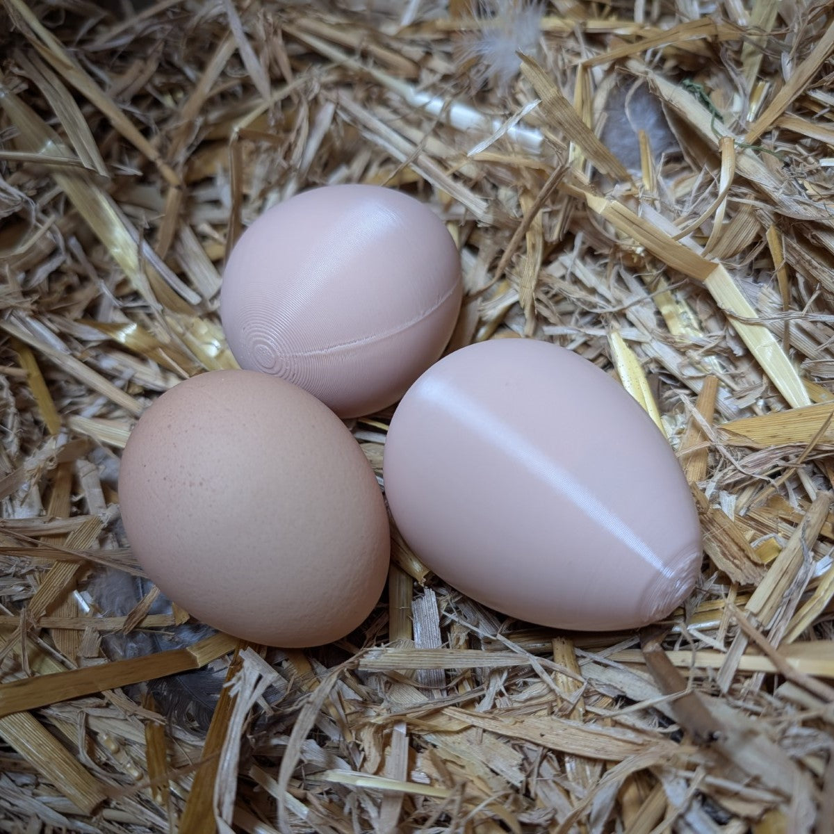 Faux œuf artificiel factice de poule pondeuse - pour aider à la ponte de vos poules