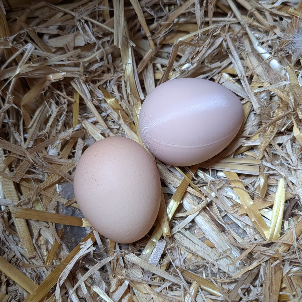 Faux œuf artificiel factice de poule pondeuse - pour aider à la ponte de vos poules La Buse Qui File
