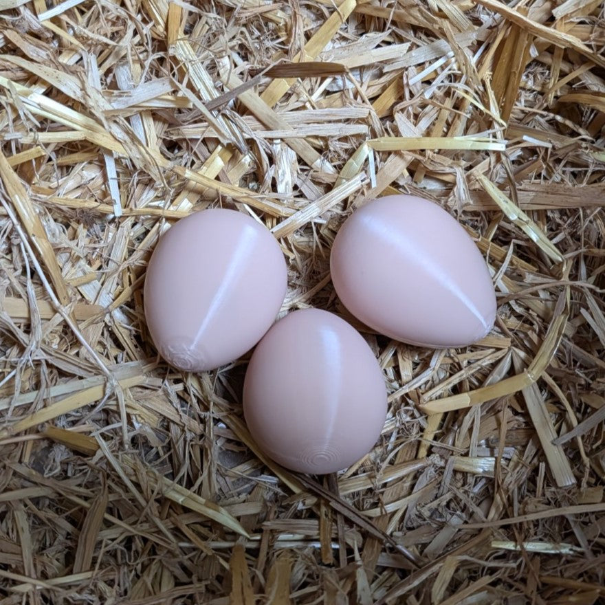Faux œuf artificiel factice de poule pondeuse - pour aider à la ponte de vos poules La Buse Qui File