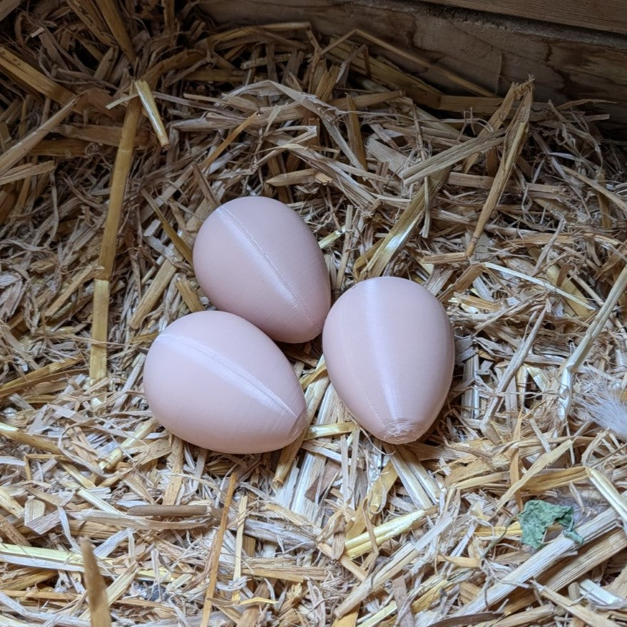 Faux œuf artificiel factice de poule pondeuse - pour aider à la ponte de vos poules La Buse Qui File