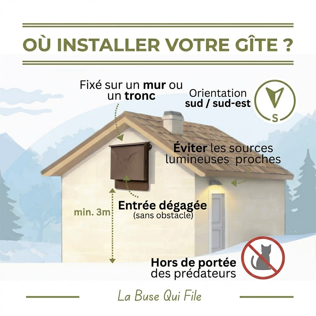 Nichoir & Gîte à chauve-souris extérieur haute résistance "L'Écho"