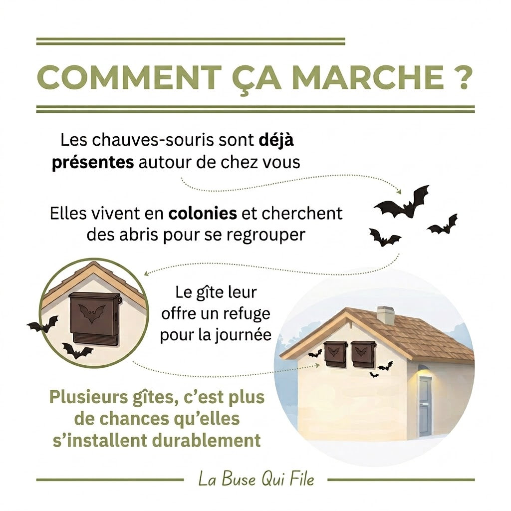 Nichoir & Gîte à chauve-souris extérieur haute résistance "L'Écho"