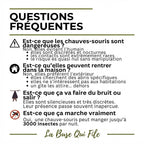 Nichoir & Gîte à chauve-souris extérieur haute résistance "L'Écho"