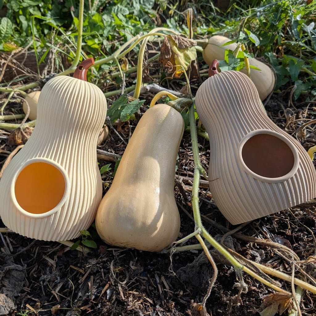 Mangeoire à oiseaux à suspendre design original - Le Butternut La Buse Qui File