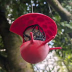 Mangeoire à oiseaux à suspendre pour boule de graisse "Le Champignon" bicolore