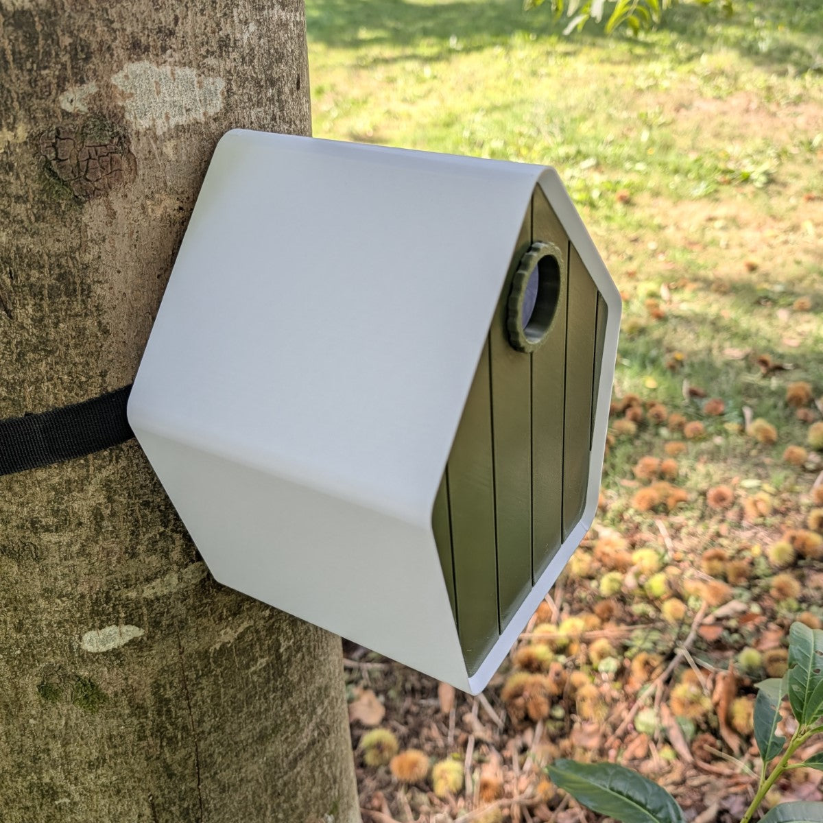 Nichoir à Oiseaux Le Pavillon avec Sangle - Conforme LPO La Buse Qui File