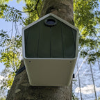 Nichoir à Oiseaux Le Pavillon avec Sangle - Conforme LPO La Buse Qui File