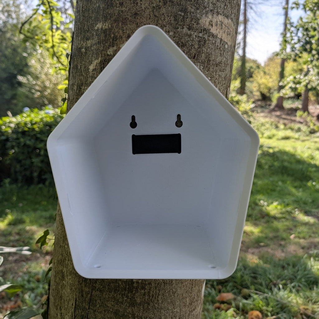 Nichoir à Oiseaux Le Pavillon avec Sangle - Conforme LPO La Buse Qui File