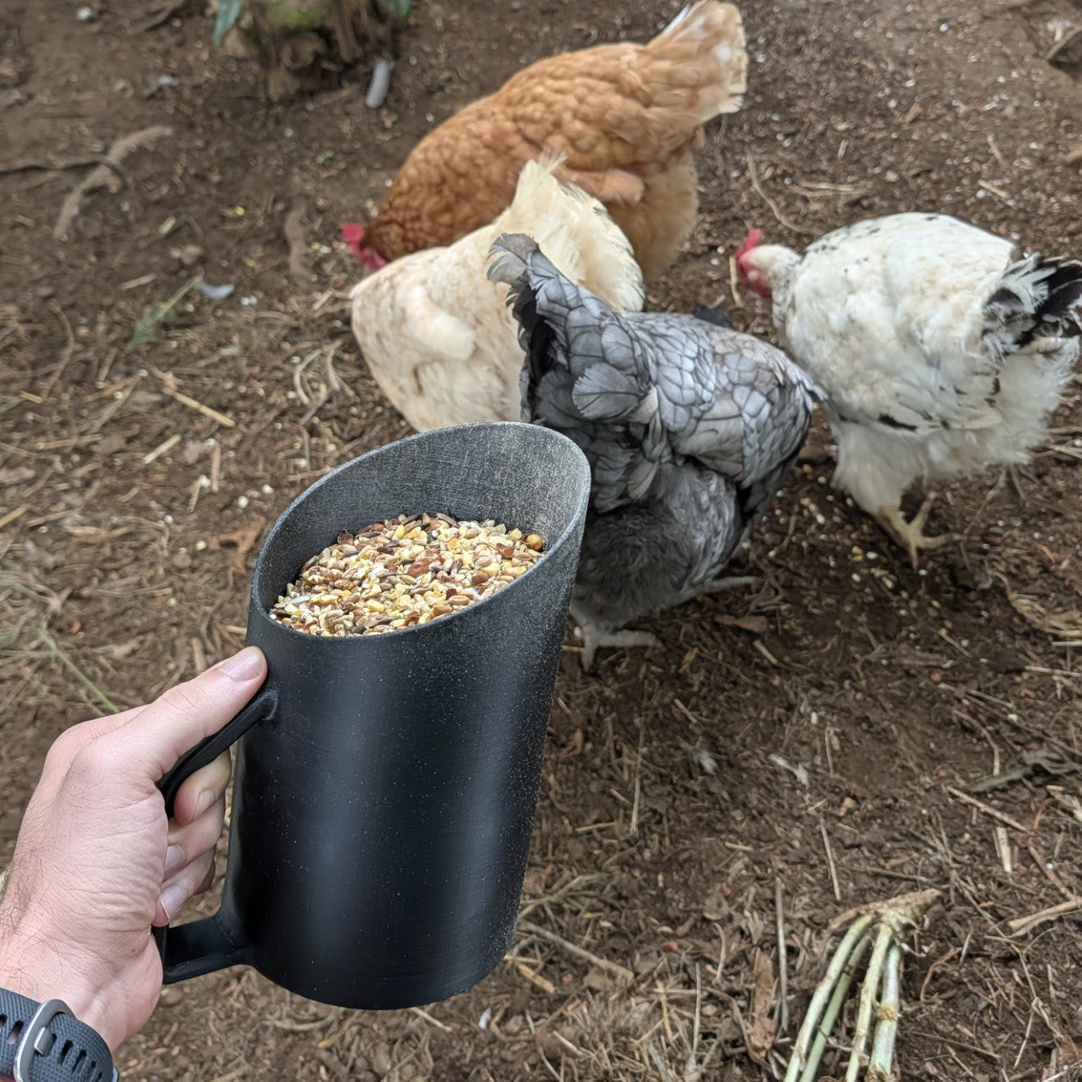 Pelle à grain robuste pour volaille et poules — 1,8L, 3,5L ou 5L