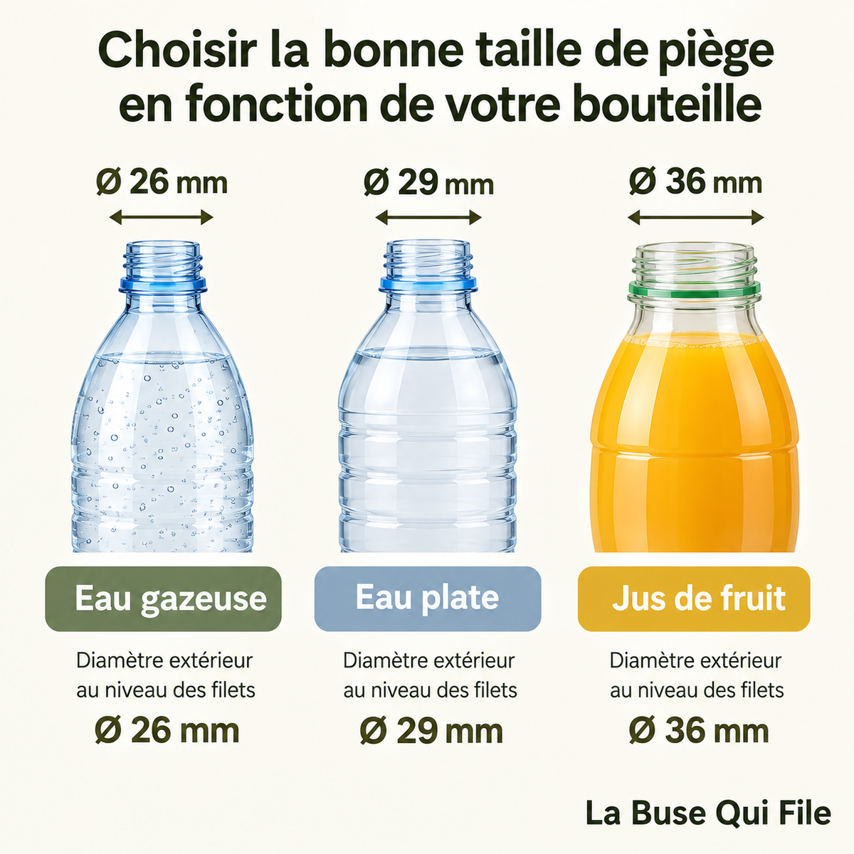Pièges à frelons asiatique pour bouteille plastique d'eau ou soda modèle "Le Dôme" La Buse Qui File