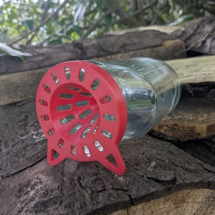 Pièges à frelons asiatique sélectif pour pot en verre modèle "La Nasse" La Buse Qui File