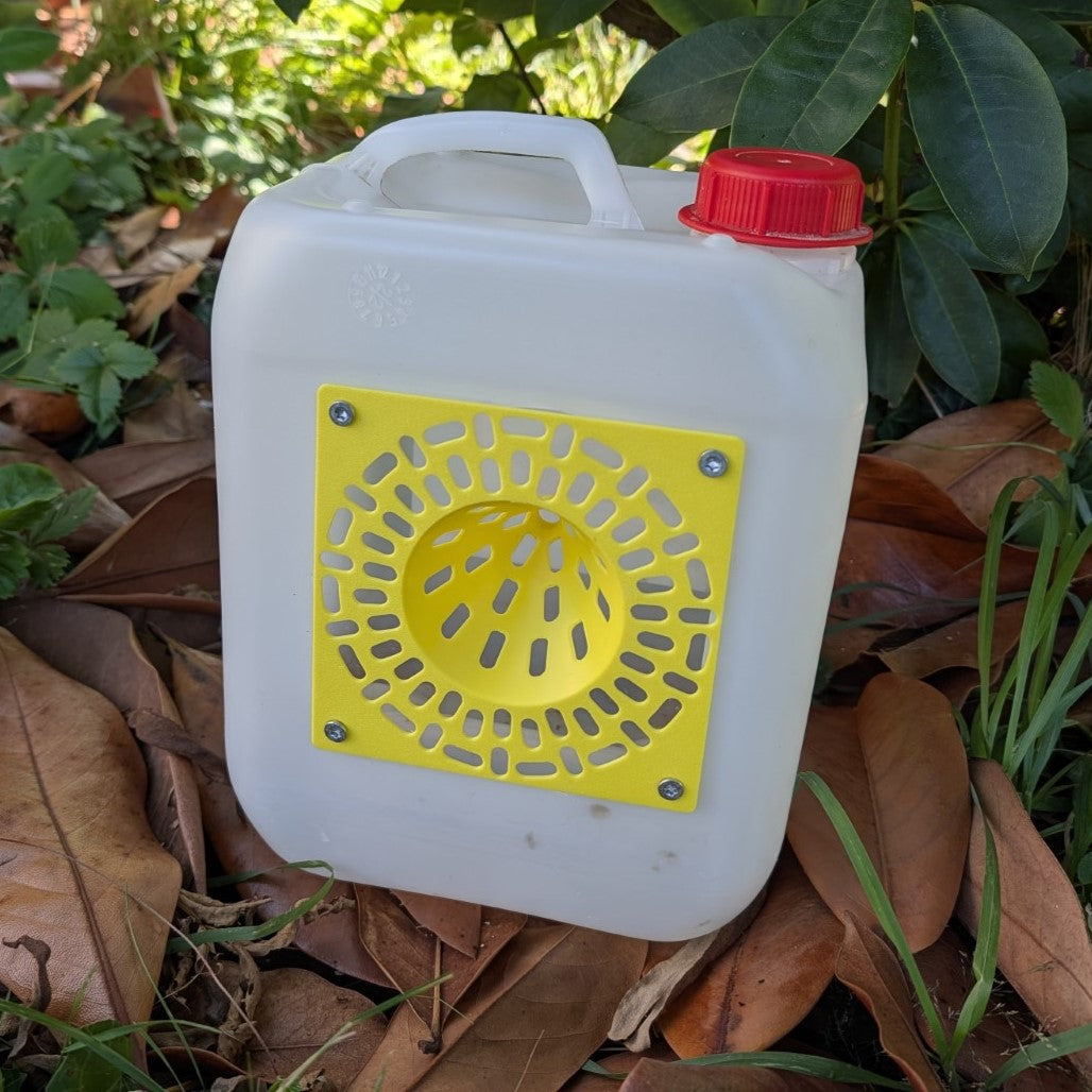 Pièges à frelons asiatique sélectif pour bidon plastique modèle "Le Cône" La Buse Qui File