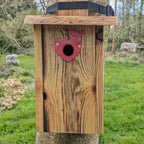 Plaque décorative de protection de trous d'envol pour nichoirs - protection anti prédateurs modèle "Le Cœur Oiseau" La Buse Qui File