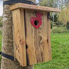 Plaque décorative de protection de trous d'envol pour nichoirs - protection anti prédateurs modèle "Le Cœur Oiseau" La Buse Qui File