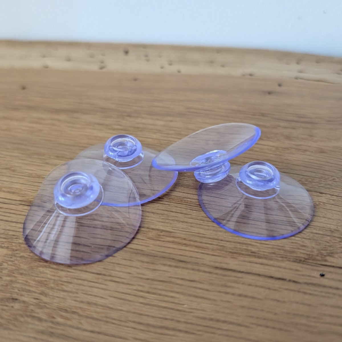 Lot de ventouses Ø4cm pour mangeoire de fenêtre - vitre La Buse Qui File