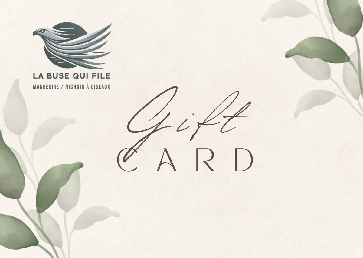 Carte Cadeau - La Buse Qui File La Buse Qui File